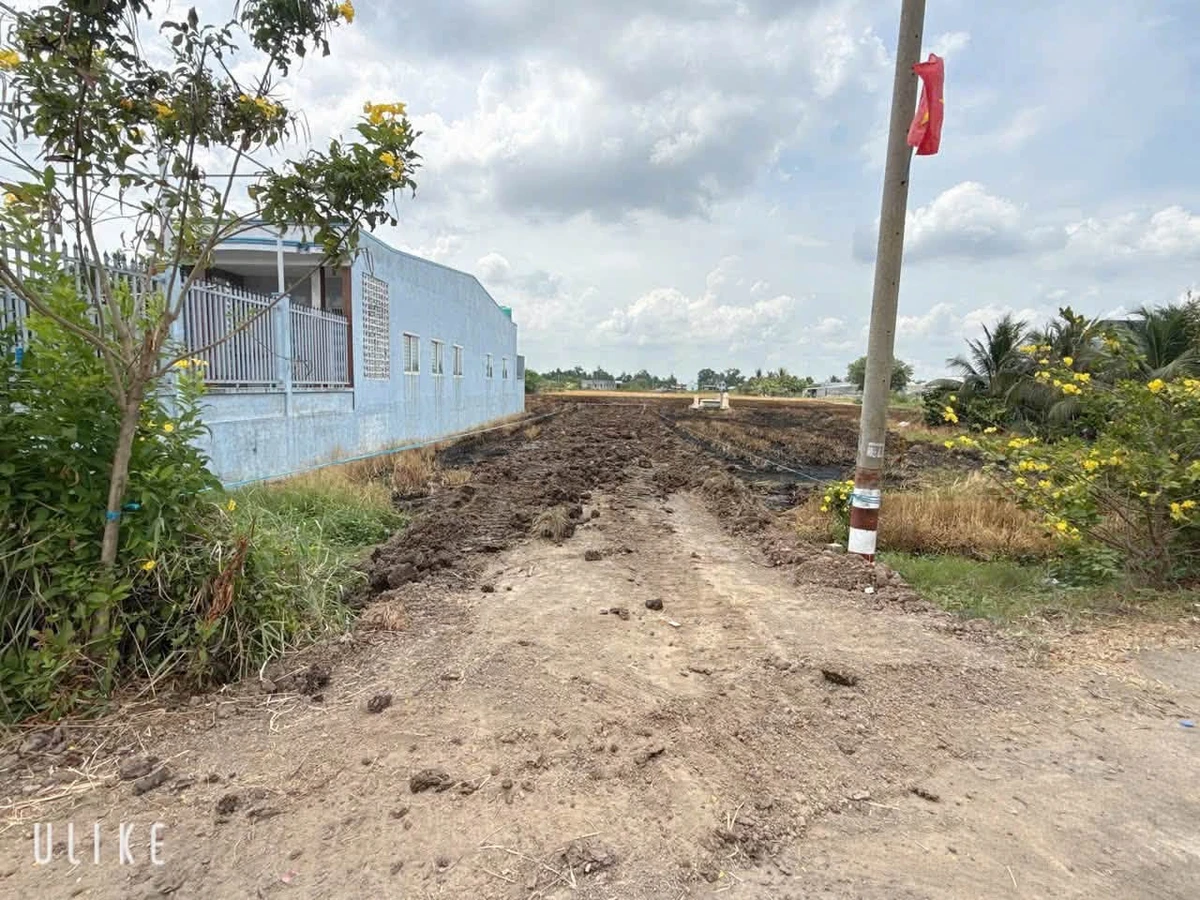 Bán đất thổ mặt tiền Cao Thị Mai, 200m², 1 tỷ 350 triệu - Ảnh thu nhỏ 3
