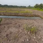 Bán đất nền ~1 mẫu Phước Tân Hưng Long An 3,5 tỷ - Ảnh thu nhỏ 2
