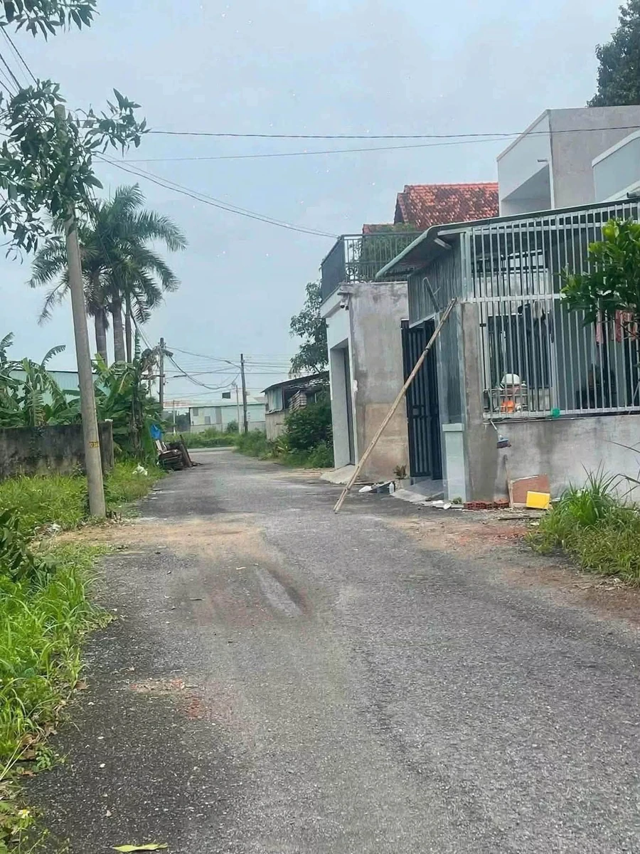 Bán đất 100m2 full thổ cư Ấp 4 An Viễn Nhà Bè - Ảnh thu nhỏ 2