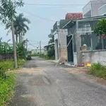 Bán đất 100m2 full thổ cư Ấp 4 An Viễn Nhà Bè - Ảnh thu nhỏ 2