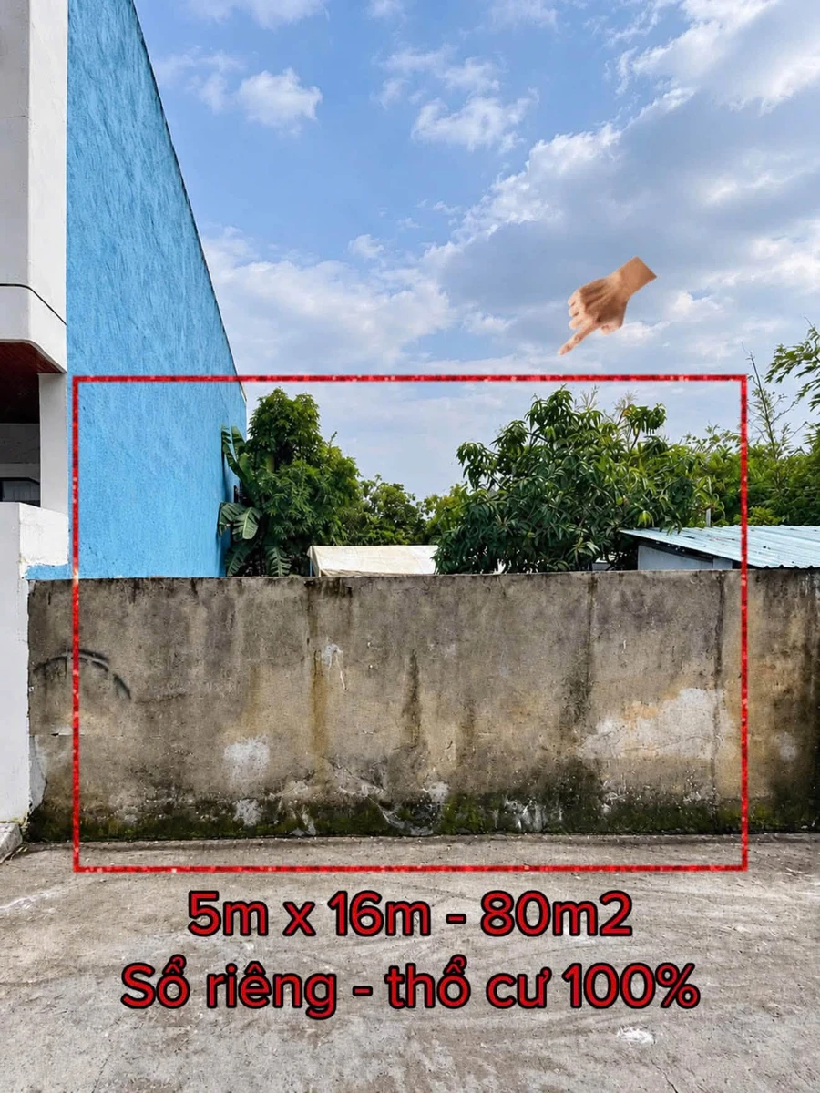 Bán lô đất thổ cư 80m2 Phường Tân Triều, Đồng Nai - Ảnh 1