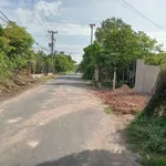 Bán đất thổ cư 147,7m2 mặt tiền đường Phú An 024, Phú An, Bến Cát cũ giá 2,55 tỷ - Ảnh thu nhỏ 2