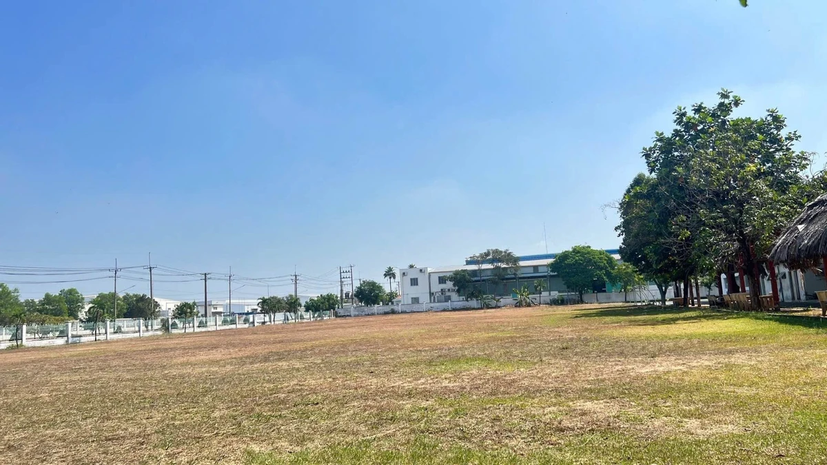 Bán 30.000m² đất KCN Long Thành Đồng Nai, 180USD/m² - Ảnh thu nhỏ 2