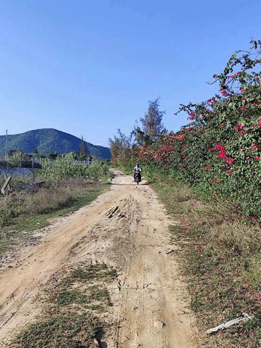 Bán hai lô đất biển Dốc Lết Ninh Hải, 144m2/lô, 28 triệu/m2 - Ảnh thu nhỏ 3