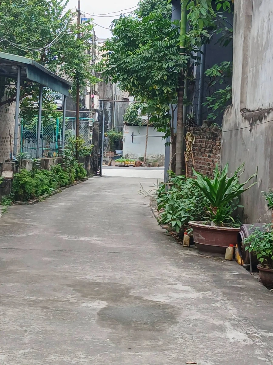 Bán đất 68m² Hòa Bình Thanh Miếu giá 1 tỷ - Ảnh thu nhỏ 4