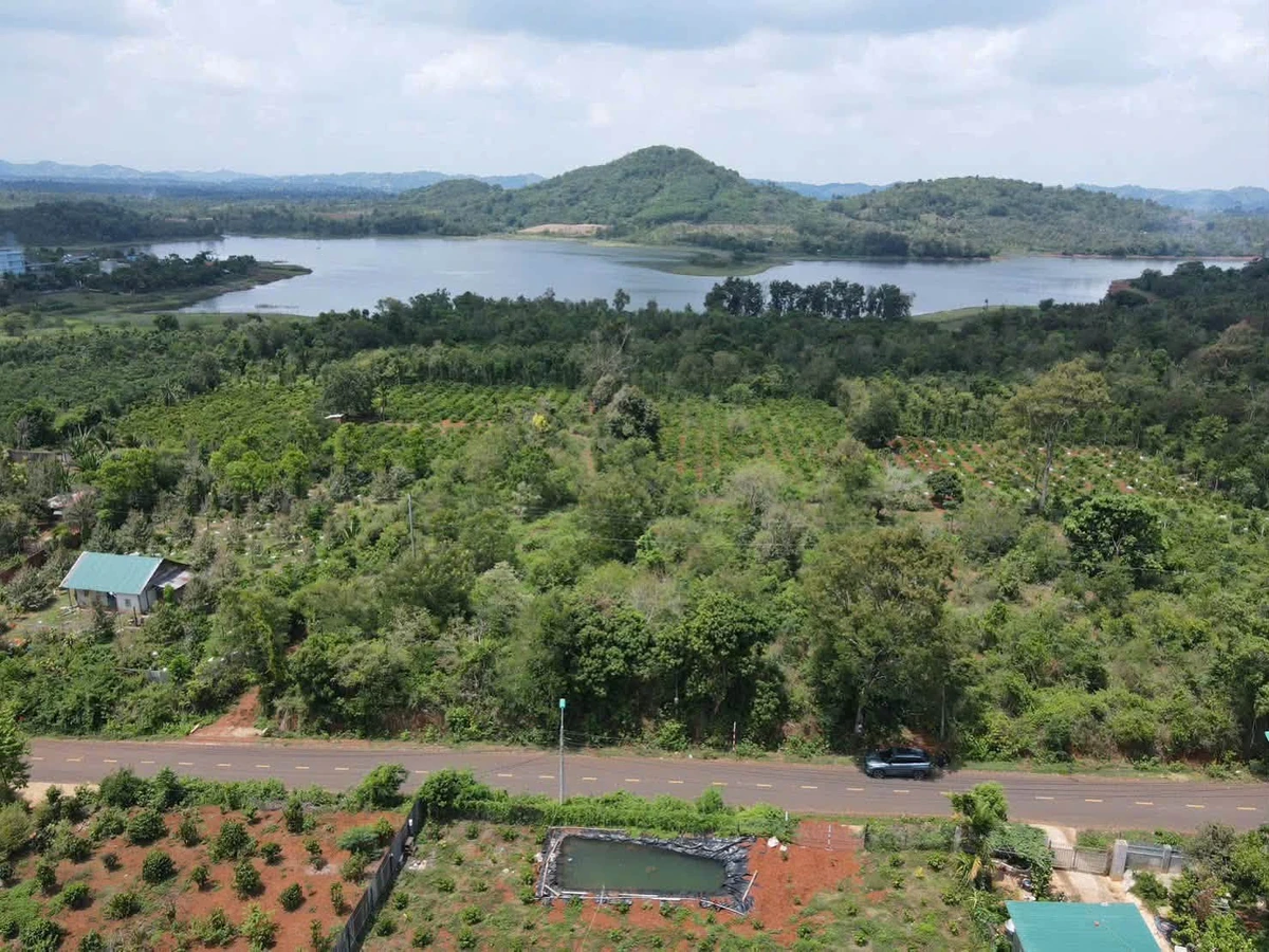Bán đất nông nghiệp Phường Eakao Buôn Ma Thuột 6.550 m² 7,5 tỷ - Ảnh thu nhỏ 2