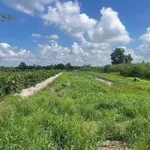 Bán 700m² đất nền Mỹ Thuận 499 triệu - Ảnh thu nhỏ 3