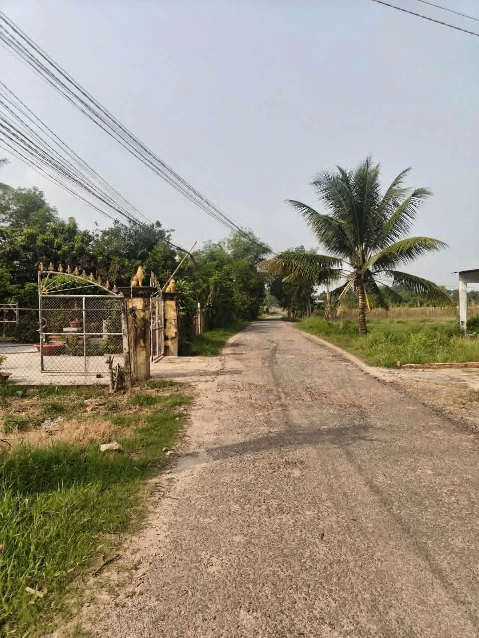 Bán đất mặt tiền An Điền Châu Thành 300m² giá 3 tỷ - Ảnh 1