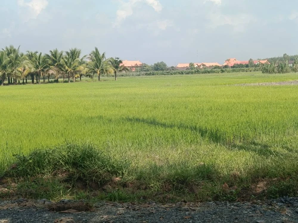 Bán đất nền 20x38m (760m²) Gia Tân, Tây Ninh - Ảnh 1