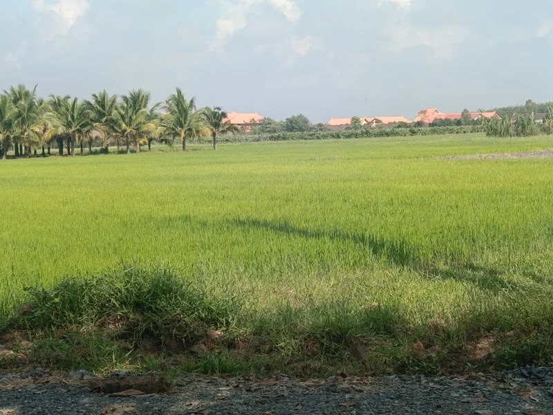 Bán đất nền 20x38m (760m²) Gia Tân, Tây Ninh