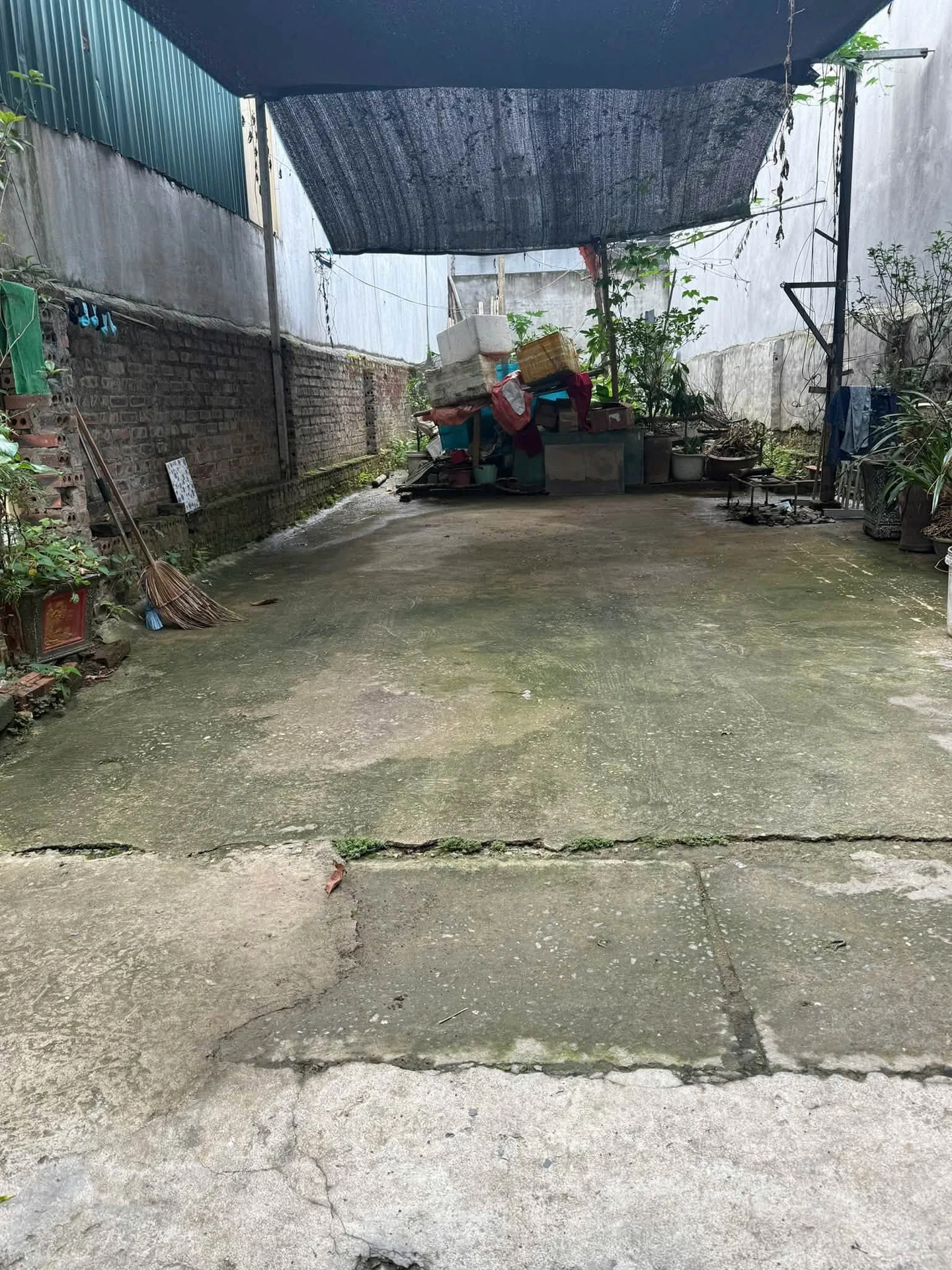 Bán nhà 5x20m An Lạc gần Bitexco 2,52 tỷ - Ảnh 1