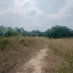 Bán 6ha đất khu công nghiệp Hòa Phú, Long Hồ, Vĩnh Long - Ảnh thu nhỏ 3