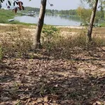 Bán đất view hồ Dầu Tiếng 1300m2 Bình Dương - Ảnh thu nhỏ 1