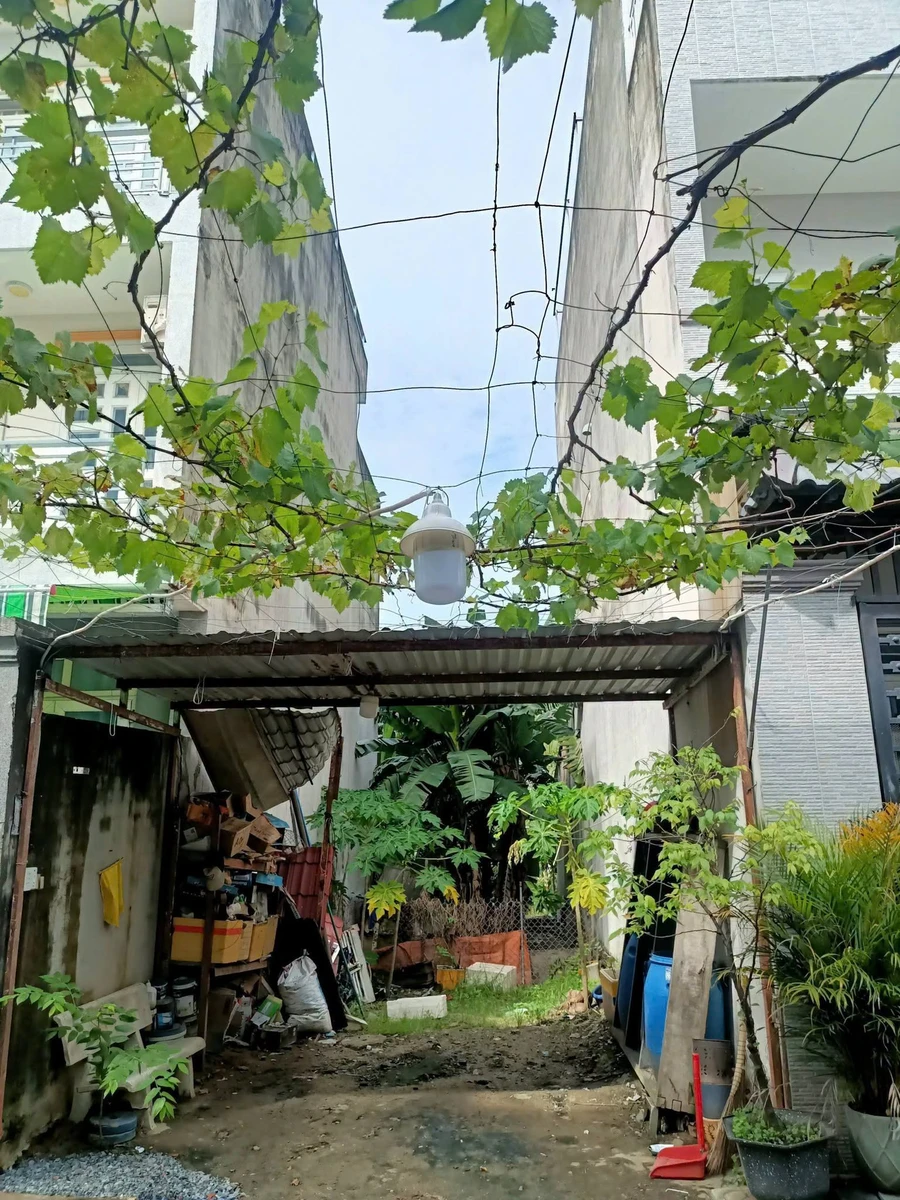 Bán lô đất 56m² hẻm Trường Lưu, Long Trường, Thủ Đức - Ảnh thu nhỏ 5