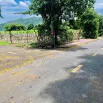Bán đất nhà vườn 293.8m2 Phước Hải, cách biển 3km, 2 tỷ 3 - Ảnh thu nhỏ 3