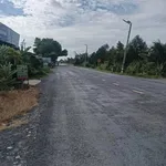 Bán nhà cấp 4 mặt tiền QL62, 200m² Tân Đông Thạnh - Ảnh thu nhỏ 1