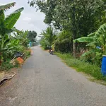 Bán đất nền thổ 100% mặt tiền 5.5x38m tại Thanh Bình, Đồng Tháp - Ảnh thu nhỏ 2