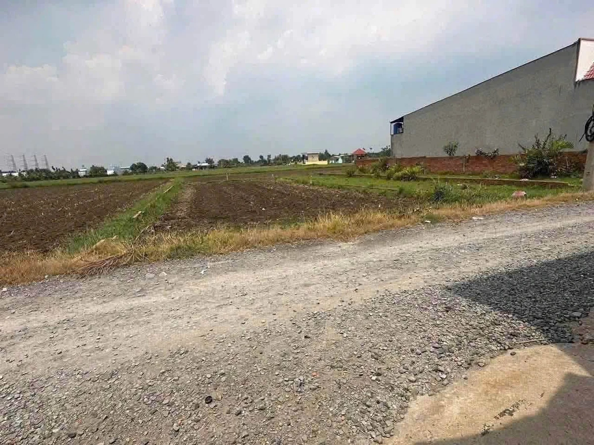 Bán lô đất thổ cư 5x29m (145m²) Hòa Khánh Đông, Nhà Bè - Ảnh thu nhỏ 3