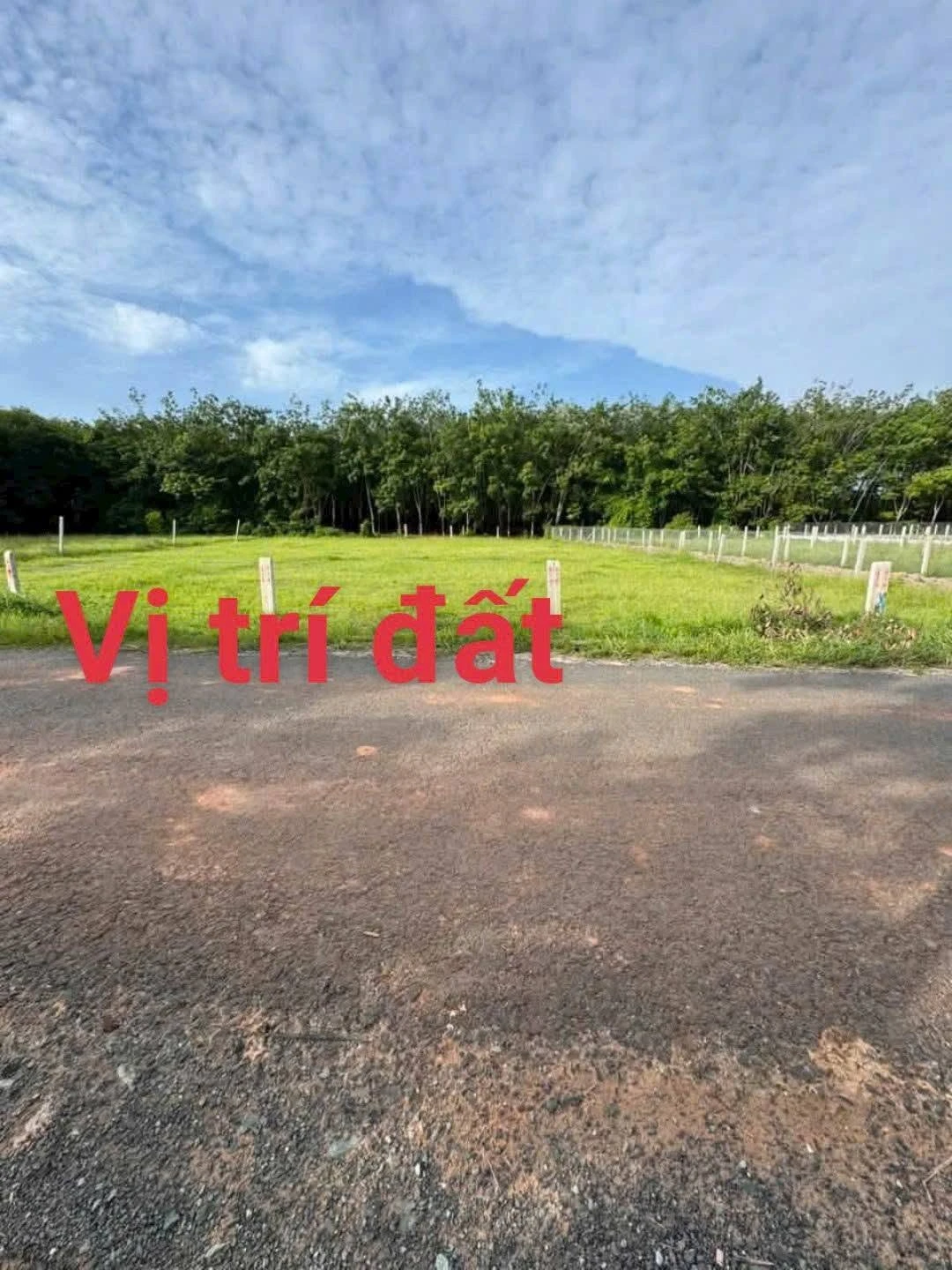 Bán đất nền 50m² Xã Long Chữ, Tây Ninh 295 triệu - Ảnh 1