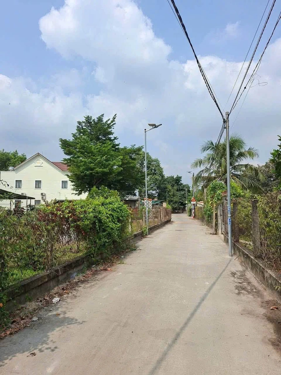 Bán đất Bình Mỹ 315m² - 1,9 tỷ - Ảnh thu nhỏ 2