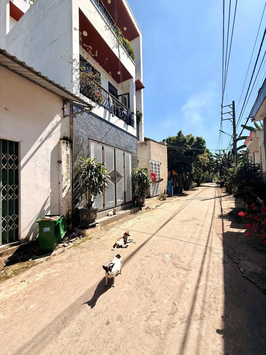 Bán dãy trọ 6 phòng Phường Trảng Dài, Bình Dương - Ảnh thu nhỏ 5