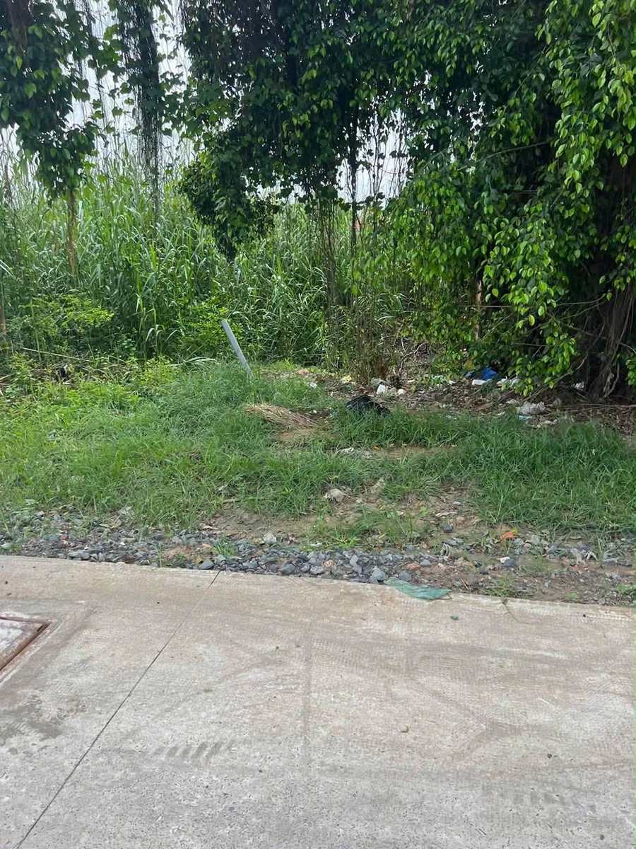 Bán đất thổ cư mặt tiền betong 5x32m, giá 1 tỷ 400 tại Đức Hòa, Long An - Ảnh 1
