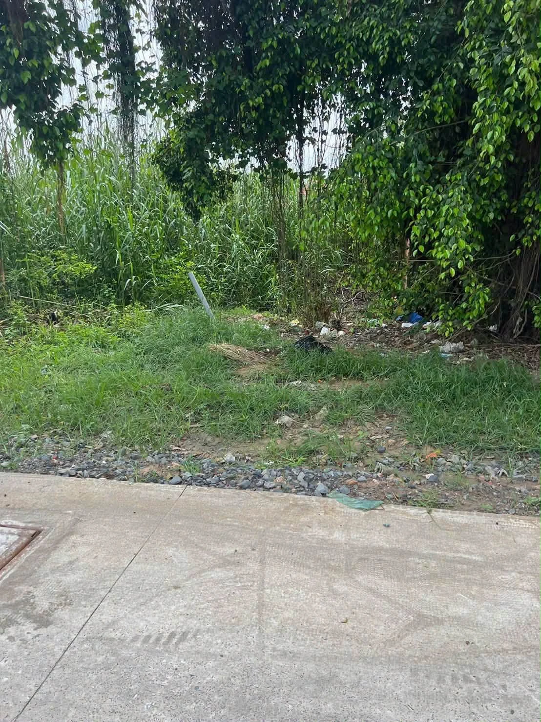 Bán đất thổ cư mặt tiền betong 5x32m, giá 1 tỷ 400 tại Đức Hòa, Long An - Ảnh 1