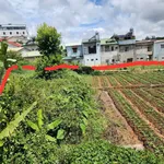 Bán lô đất 2 mặt tiền 10x25m đường Trạng Trình, Phường 9, Đà Lạt giá 15 tỷ - Ảnh thu nhỏ 3