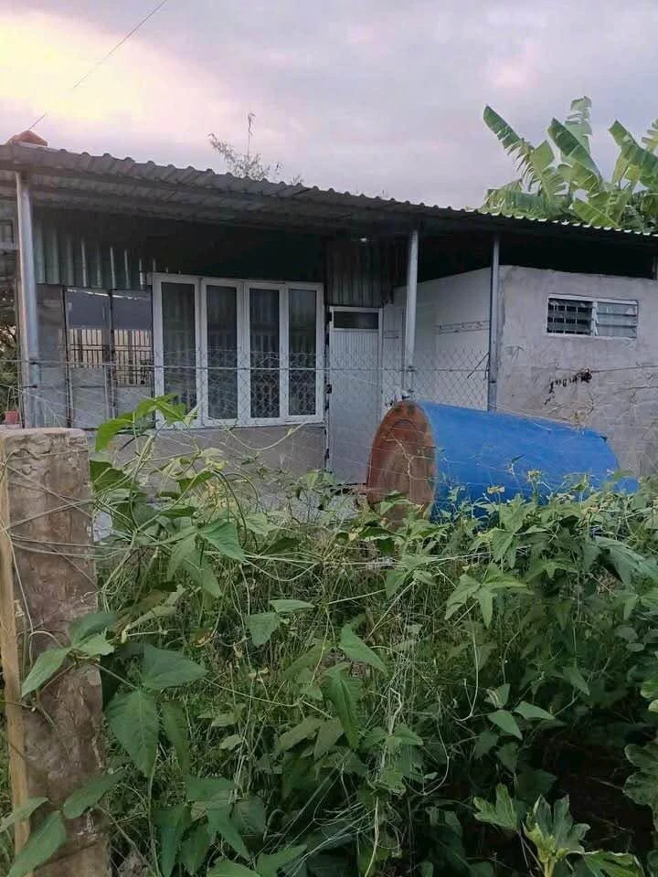 Bán đất 1.771m² (300m² thổ + 1.471m² vườn) Xã Bình Thạnh, Long An - Ảnh thu nhỏ 3