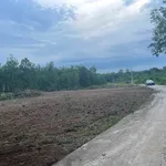 Bán đất nền 50m² Chơn Thành Đồng Nai 298 triệu - Ảnh thu nhỏ 4