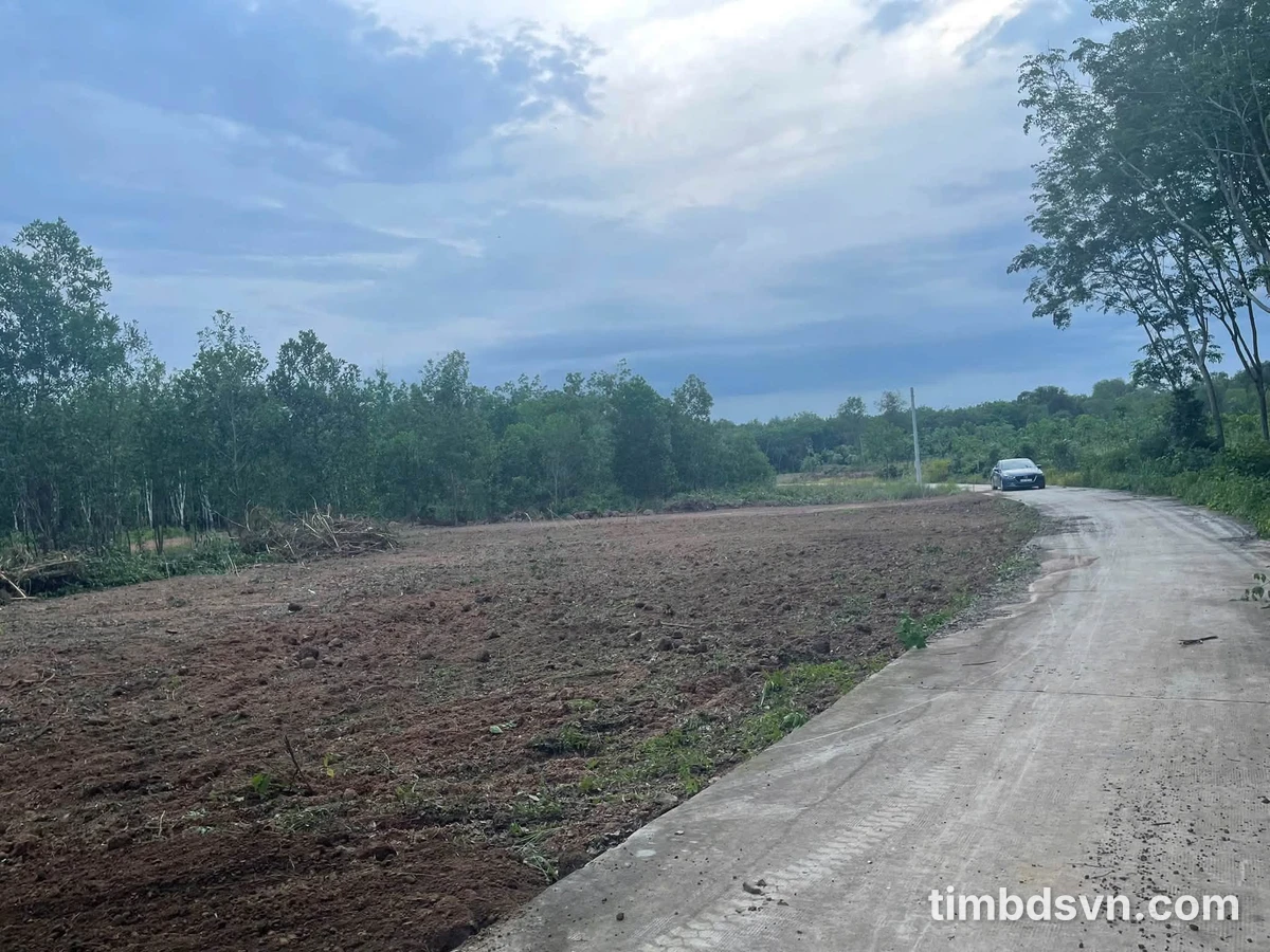 Bán đất nền 50m² Chơn Thành Đồng Nai 298 triệu - Ảnh thu nhỏ 4