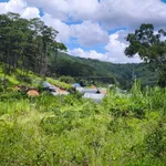 Bán lô đất mặt tiền Mimosa, 6782m², Đà Lạt - Ảnh thu nhỏ 3