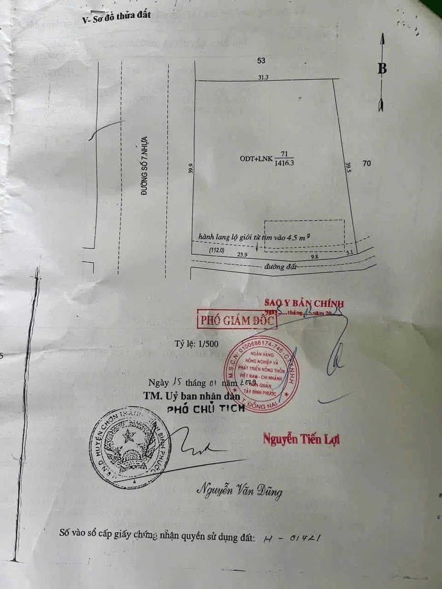 Bán đất góc 1416m2 mặt tiền 69m Lạc Long Quân 22,23 tỷ - Ảnh thu nhỏ 2