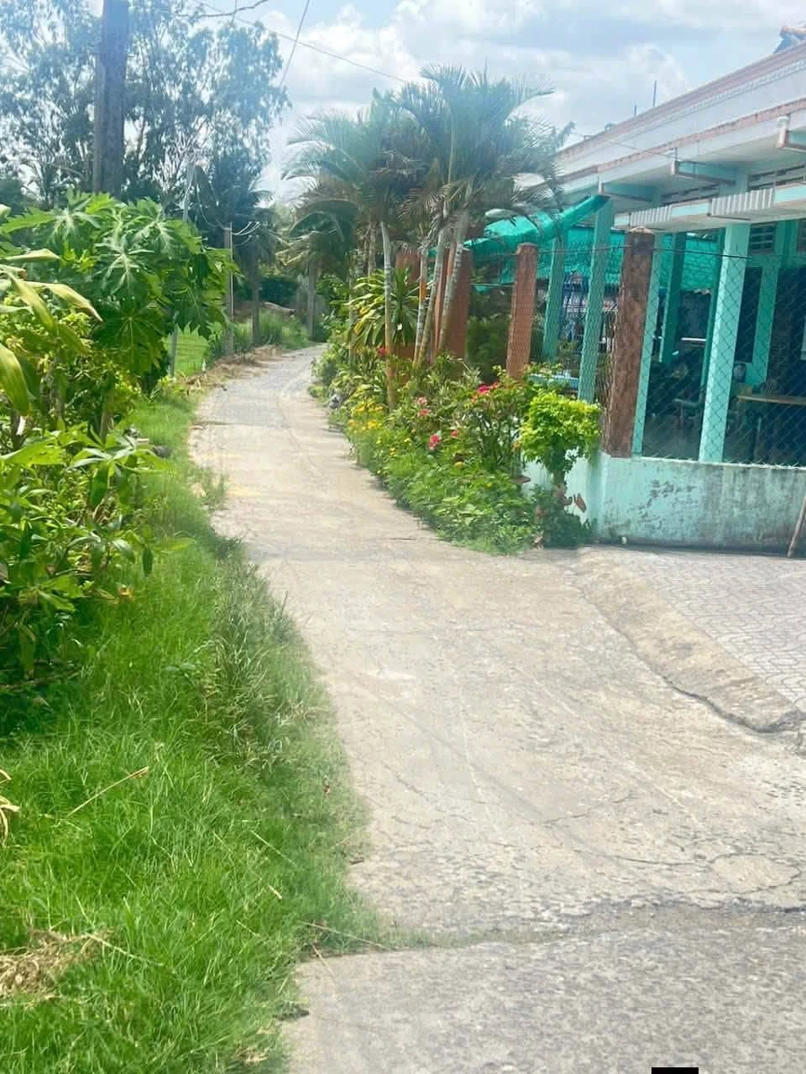 Bán nhà 2 phòng ngủ 91m² Nhị Thành Long An 1 tỷ 115 triệu - Ảnh thu nhỏ 2