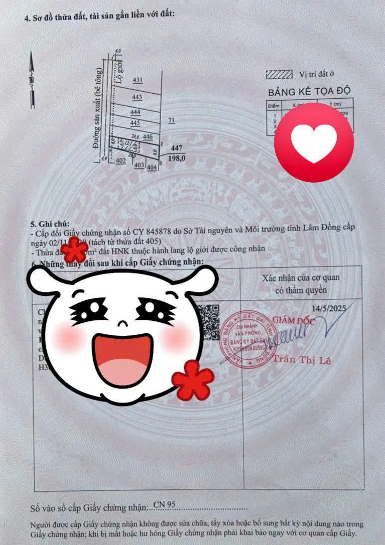 Bán đất Đạ Ròn Đơn Dương 198m2 thổ cư 850 triệu - Ảnh thu nhỏ 2