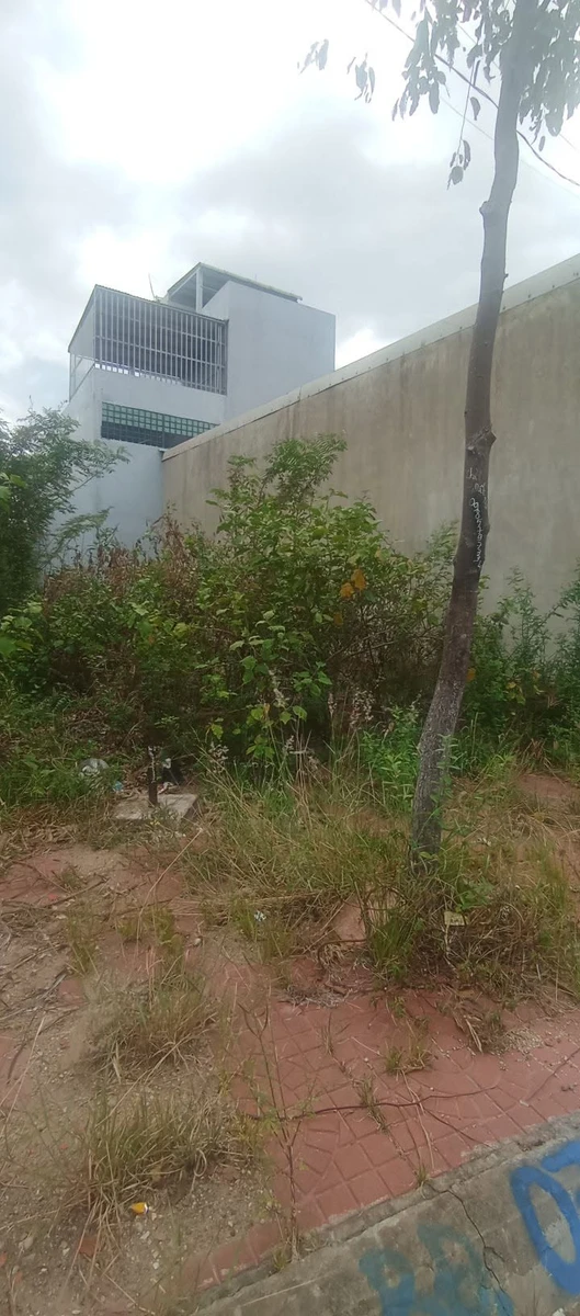 Bán đất khu TĐC phía Đông núi Mồ Côi, Nhơn Phú, Phường Quy Nhơn Bắc, Gia Lai, 83m2 - Ảnh 1