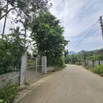 Bán khuôn viên nhà vườn 1400m2 gần suối, có 2 nhà sàn tại Đà Bắc, Hòa Bình - Ảnh thu nhỏ 3