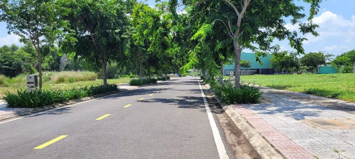 Bán đất biệt thự The Light City 342m² ngang 12m Vũng Tàu - Ảnh 1