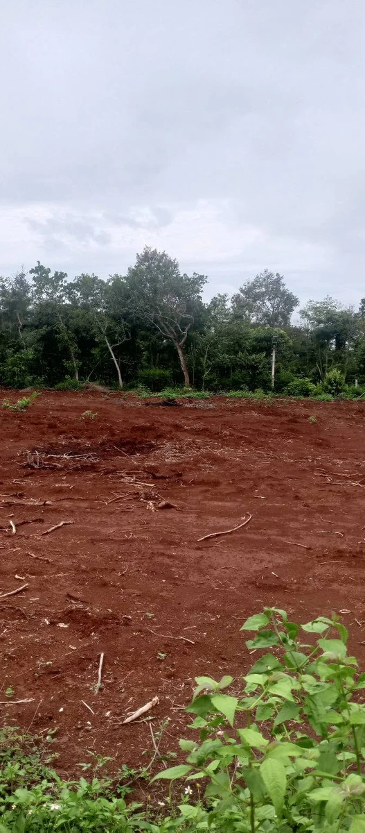 Bán lô đất 560m² nông nghiệp Phường Ea Kao, giá 480 triệu - Ảnh thu nhỏ 3