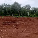 Bán lô đất 560m² nông nghiệp Phường Ea Kao, giá 480 triệu - Ảnh thu nhỏ 3