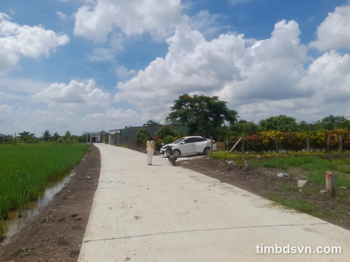 Bán lô đất siêu đẹp 5x30 - (147m2) - Đức Tân, Huyện Tân Trụ, Long An, giá đầu tư - Ảnh thu nhỏ 5