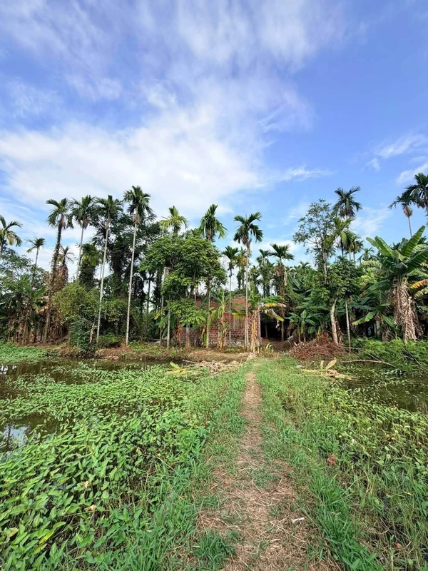 Bán 2500 m² đất 3 đường thông Hoa Động, Hải Phòng