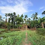 Bán 2500 m² đất 3 đường thông Hoa Động, Hải Phòng - Ảnh thu nhỏ 1