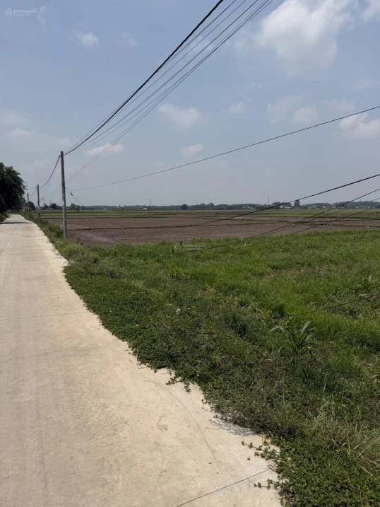 1.198m2 đất lúa, quy hoạch phân khu đất ở An Tịnh - Trảng Bàng - Tây Ninh - Ảnh thu nhỏ 2