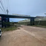 Bán rẫy 5ha ở Gia Nghĩa, Lâm Đồng, giá 8,7 tỷ - Ảnh thu nhỏ 2