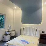 Bán nhà 4PN mặt sau công viên Nguyễn Cơ Thạch Q7 - 191m2 - Ảnh thu nhỏ 3
