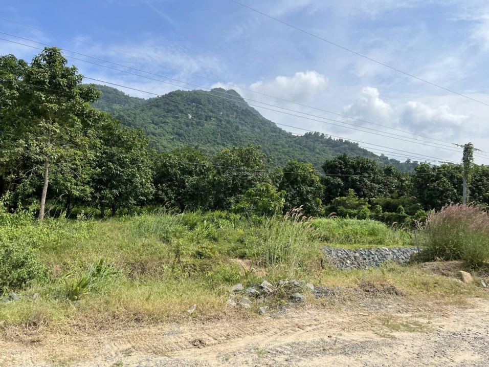 Bán 9500m vuông đất trồng CLN, quy hoạch lên đất ONT, sổ hồng riêng, chính chủ - Ảnh thu nhỏ 5
