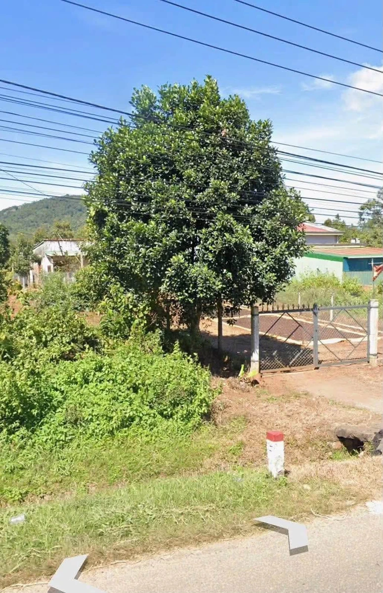 Bán đất 75m2 Quốc lộ 14, Cần Giờ - Ảnh 1