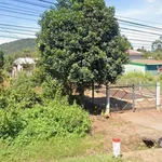 Bán đất 75m2 Quốc lộ 14, Cần Giờ - Ảnh thu nhỏ 1
