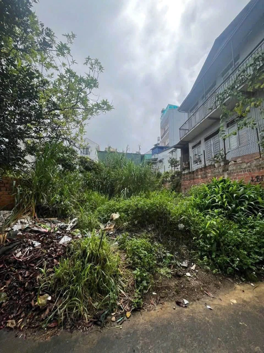 Bán lô đất 110m2 đường ô tô Quận 12, giá 4,5 tỷ - Ảnh thu nhỏ 5